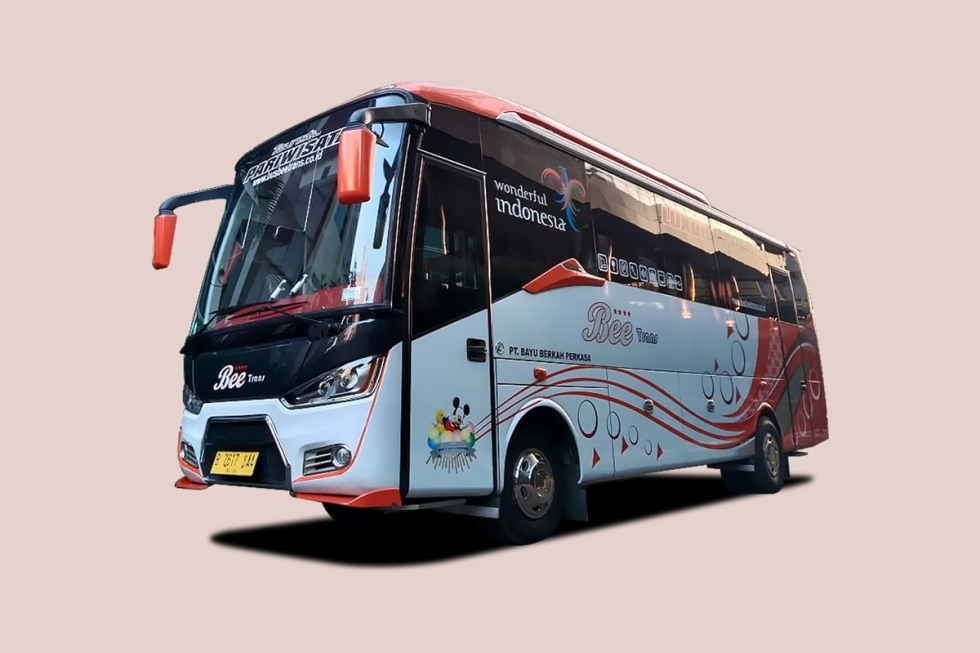 Medium Bus VIP Luxury Kapasitas 22 Seats Legrest - Sewa Bus Pariwisata Beetrans