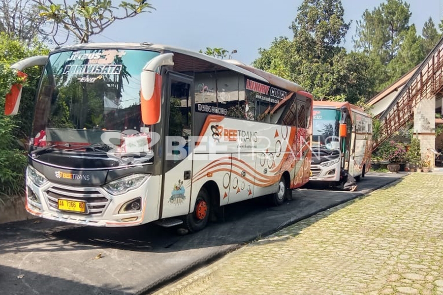 2 Medium Bus Pariwisata ke The Village Bogor