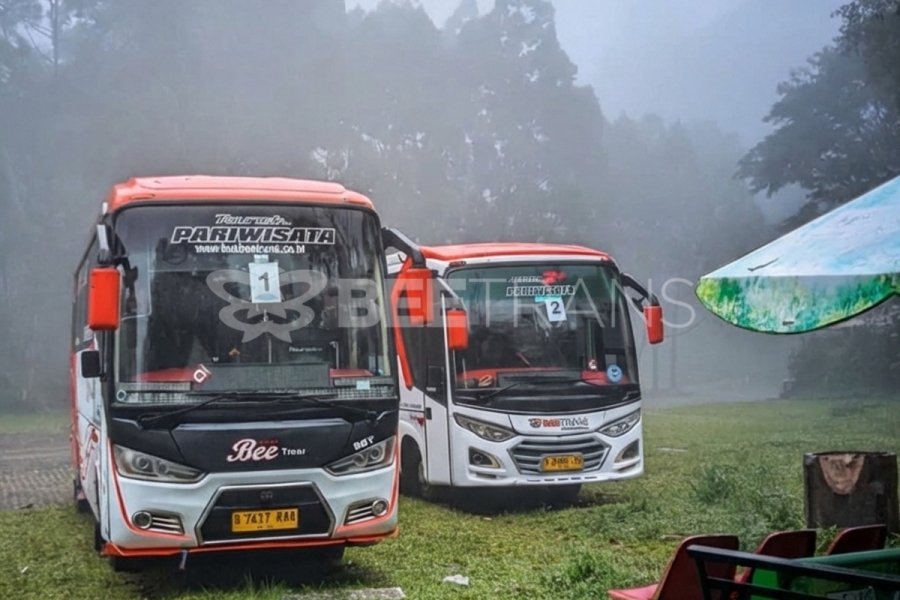 Serunya Wisata Edukasi ke Taman Safari Bogor Bareng Beetrans